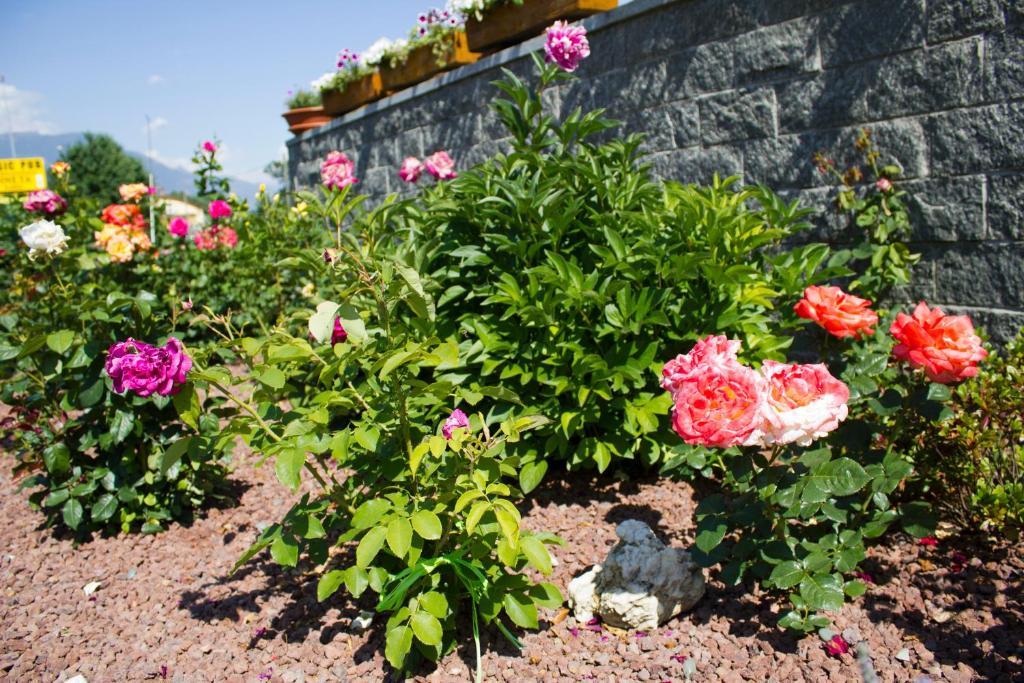 Hotel Sarre Hotel